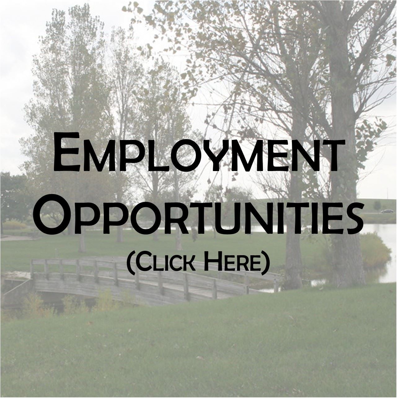 Employment Opportunities