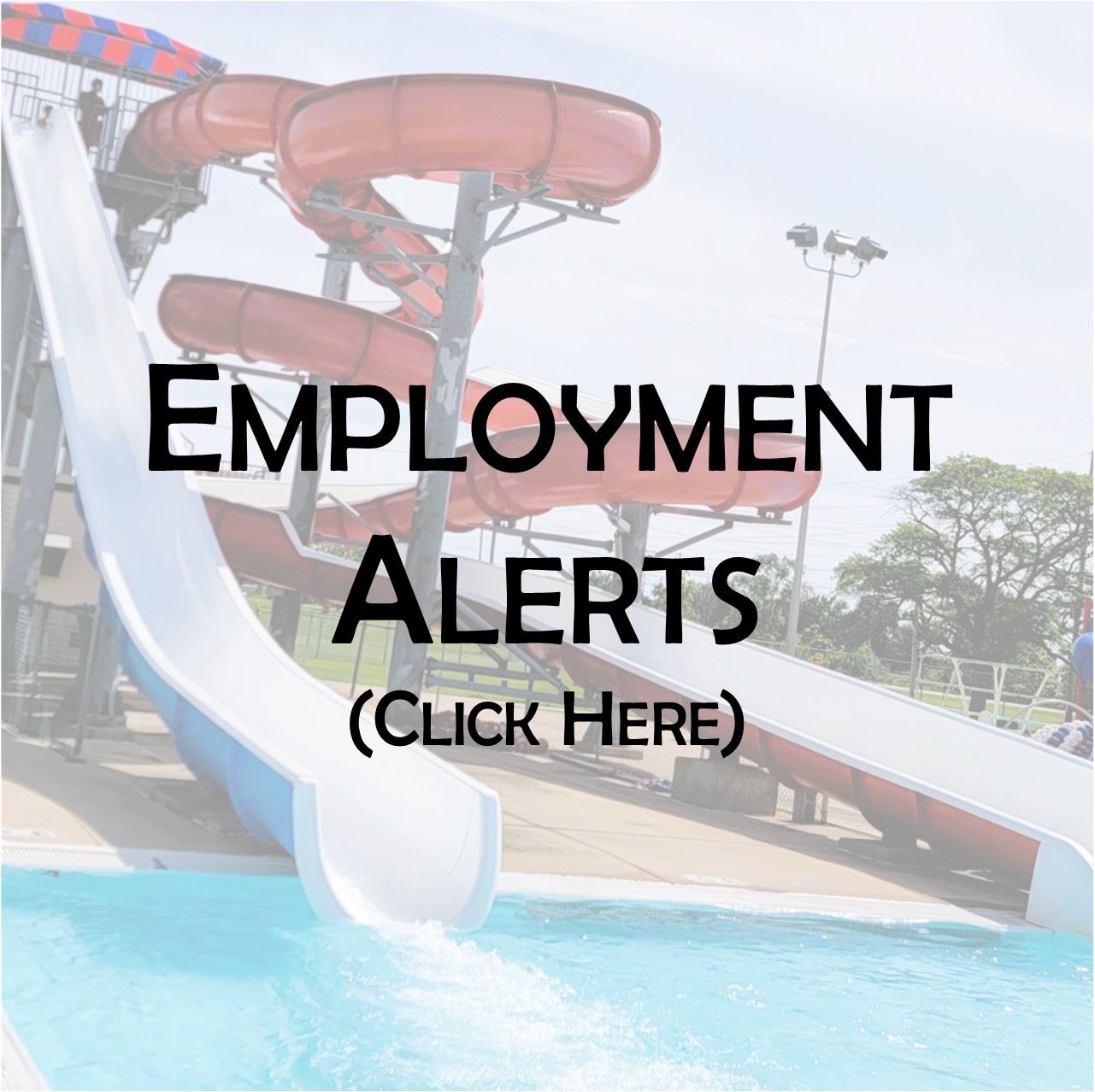 Employment Alerts
